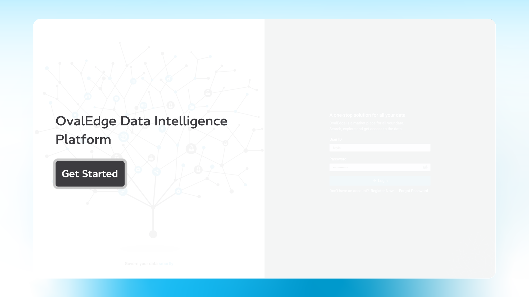 DataIntelligencePlatform2