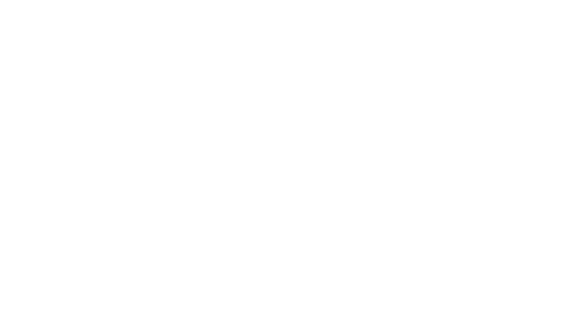 Frame 47