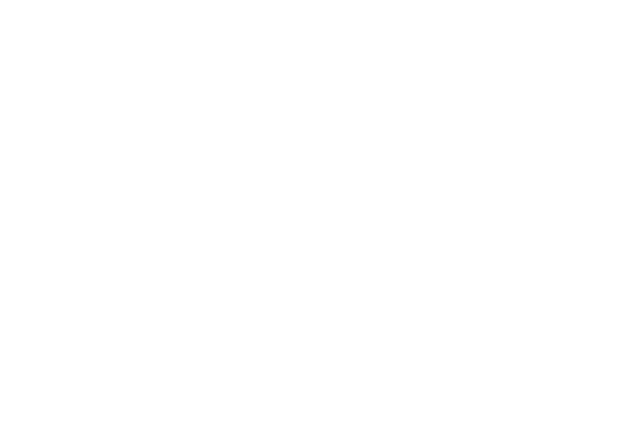 Frame 49