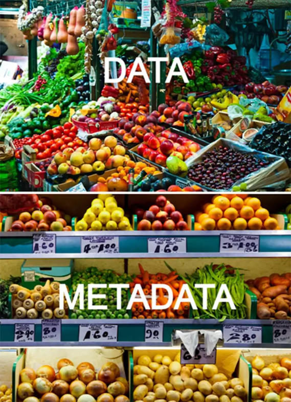 data-metadata