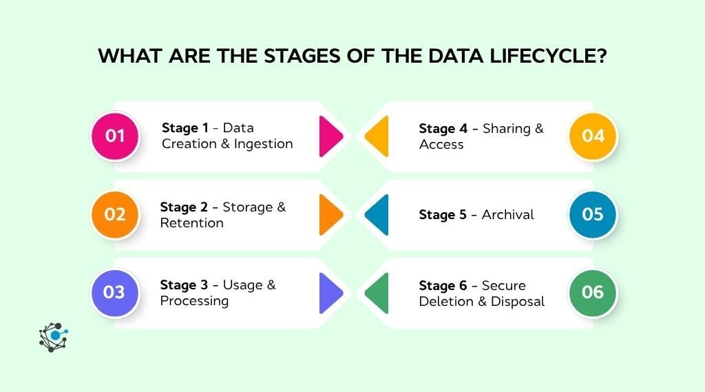 What are the stages of the data lifecycle