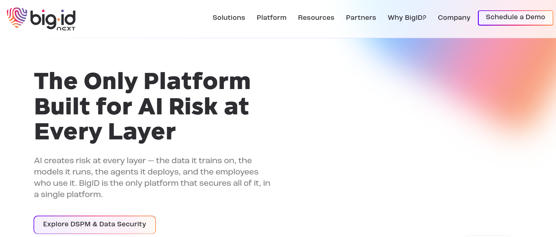 BigID homepage