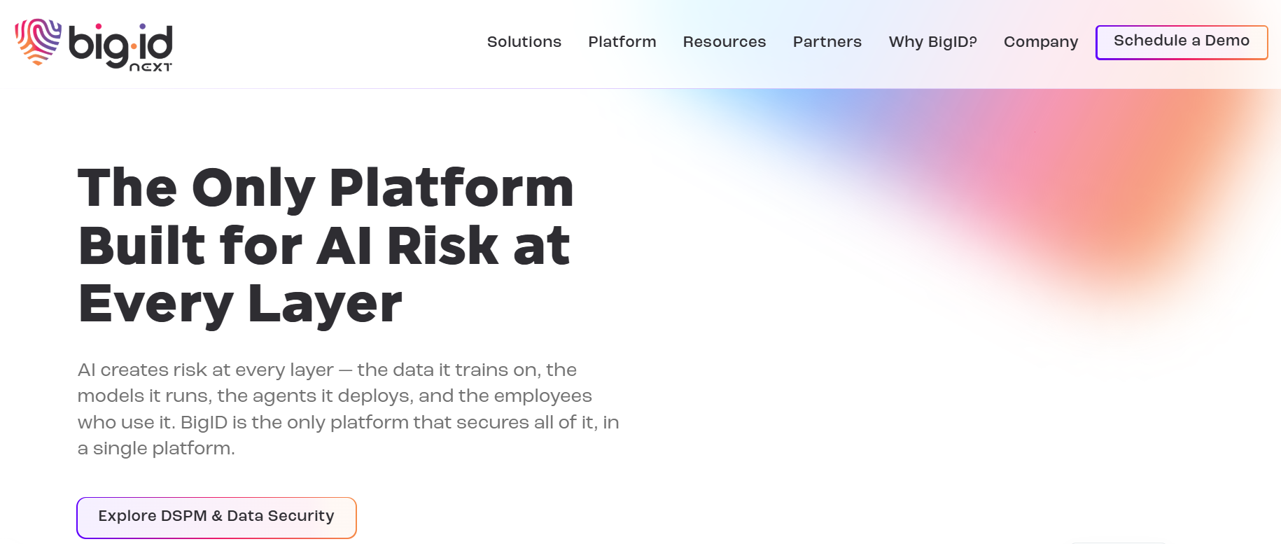 BigID homepage