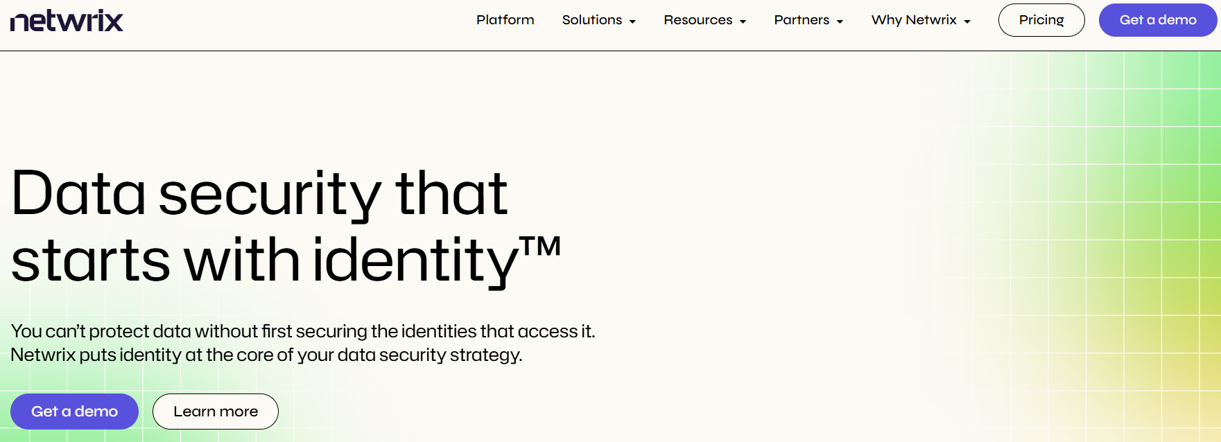 Netwrix homepage