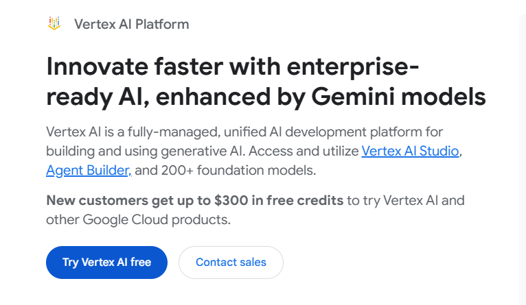 Google AI platform homepage