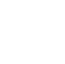 icon compliance