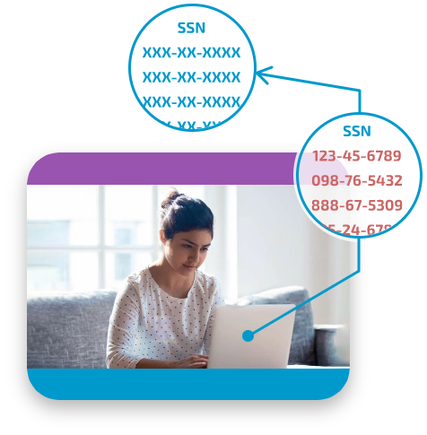 pic Data Masking & Encryption
