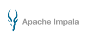 Apache Impala  Headshot