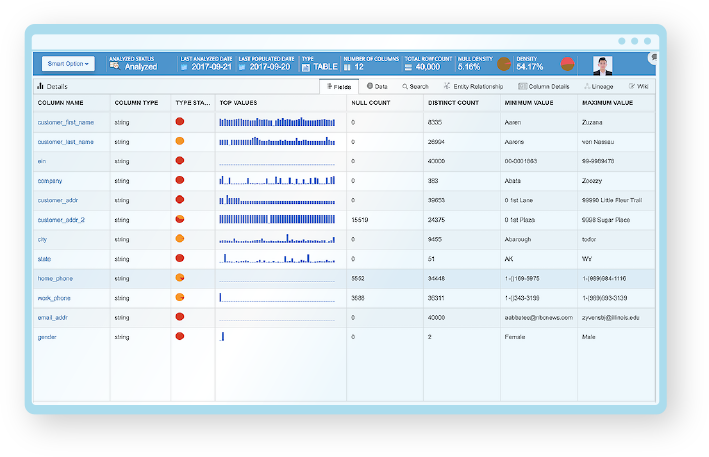 Data Catalog Data Summary