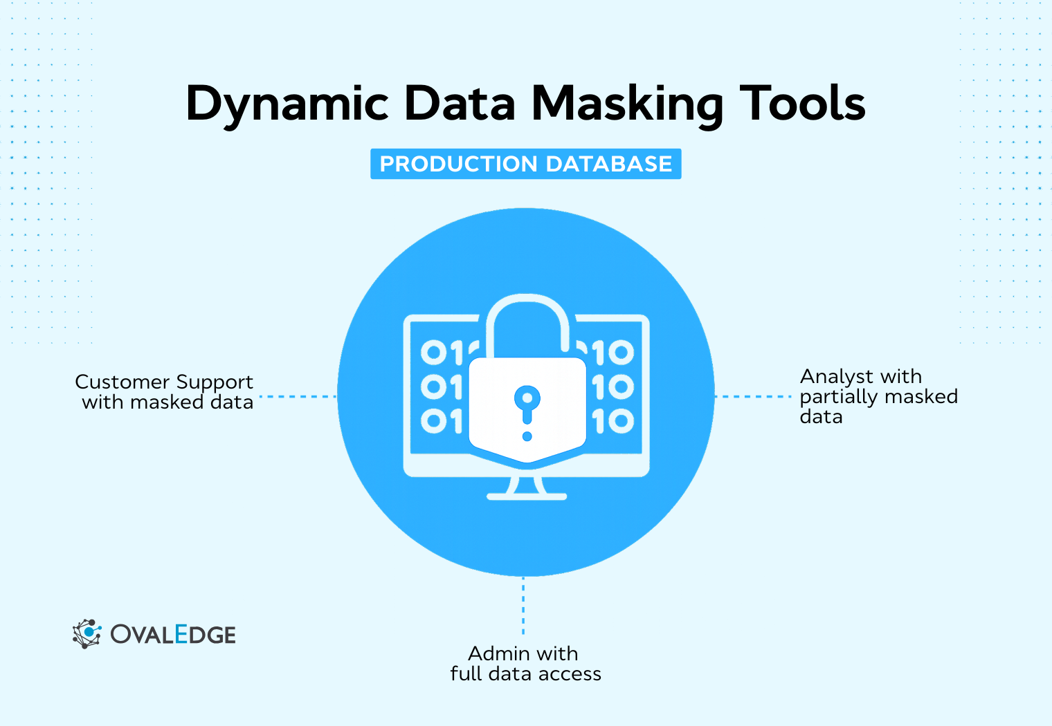 Dynamic Data Masking Tools for Compliance | OvalEdge