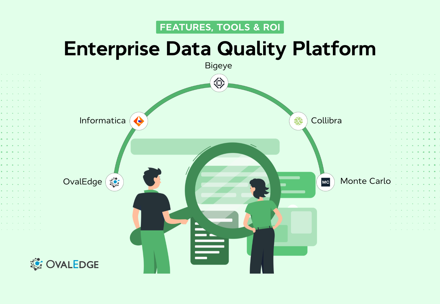 Enterprise Data Quality Platform: Tools & ROI