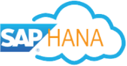 SAP HANA Cloud Headshot