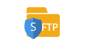 SFTP  Headshot