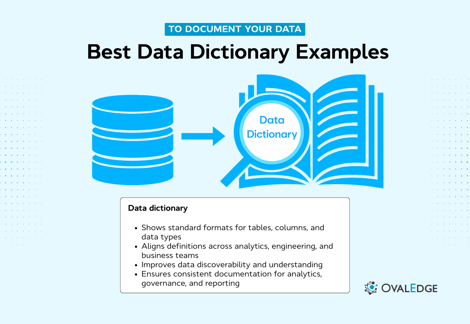 Data Dictionary Examples and Templates: Streamline Your Data Management
